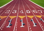 开云APP-高原雄鹰折翼潘帕斯，厄瓜多尔绝杀阿根廷，B费主宰E组焦点战